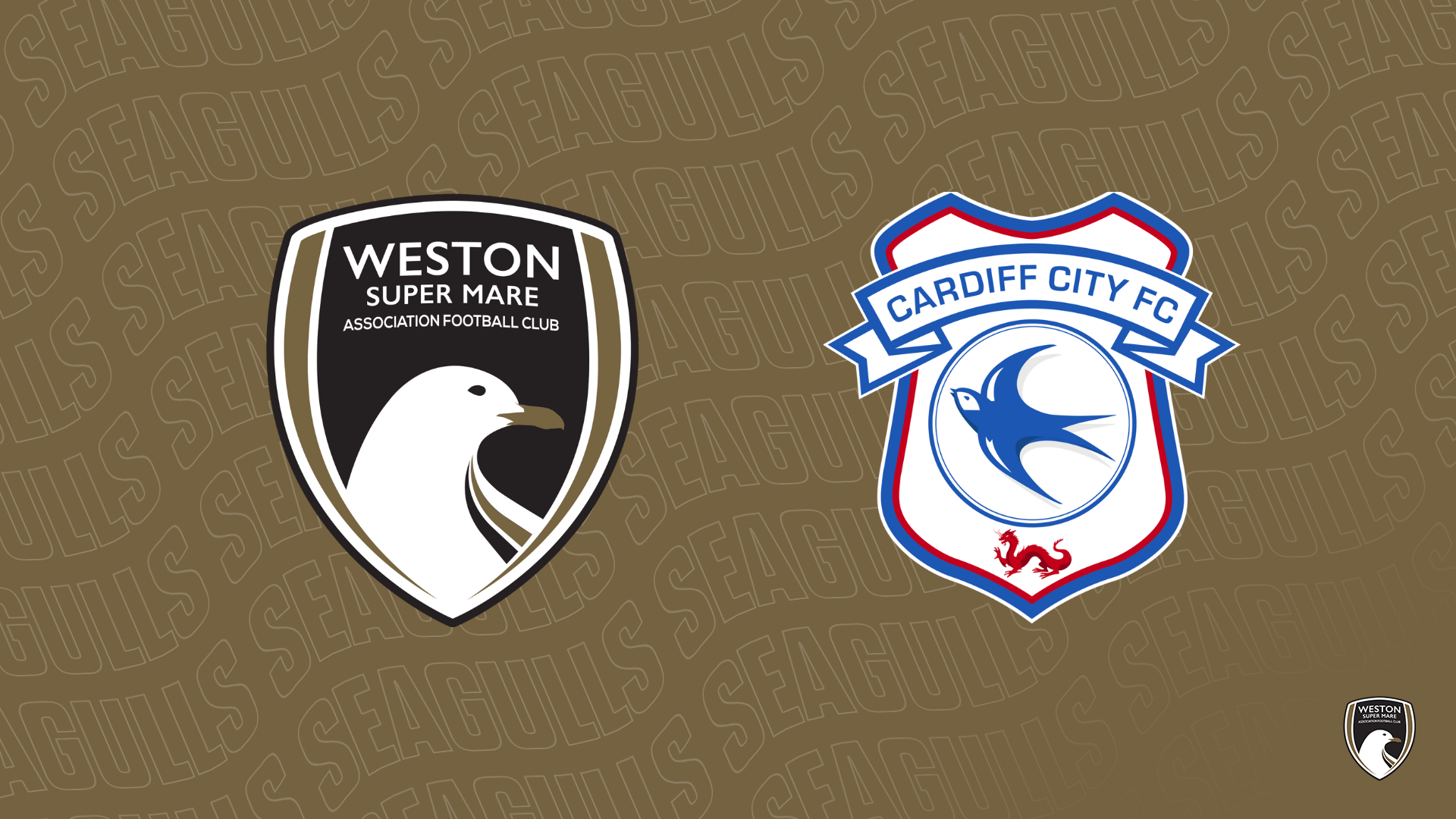 Cardiff City Football Club - U21 TEAMS: Cardiff City Football Club